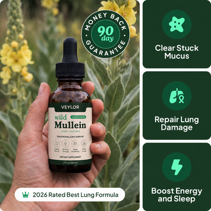 Veylor Mullein Drops for daily lung and mucus support