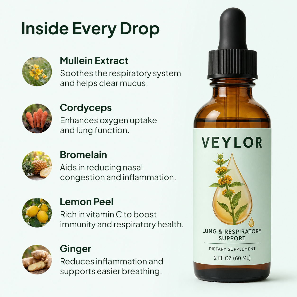 Ingredients inside Veylor Mullein Drops